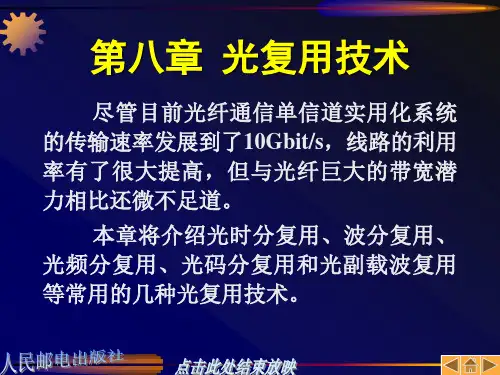 光复用技术