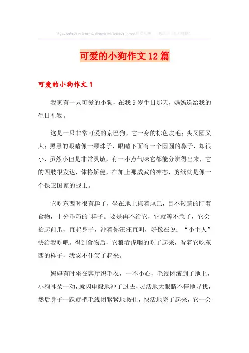 可爱的小狗作文12篇