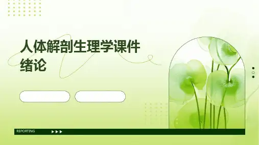 人体解剖生理学课件绪论
