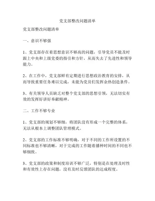 党支部整改问题清单