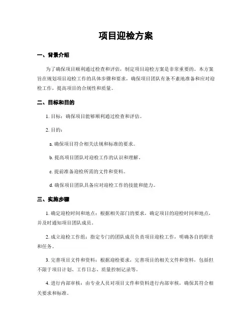 项目迎检方案