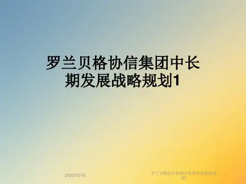 罗兰贝格协信集团中长期发展战略规划1