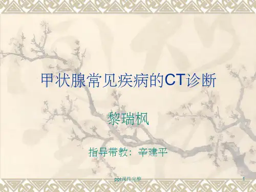 甲状腺常见疾病CT诊断ppt课件