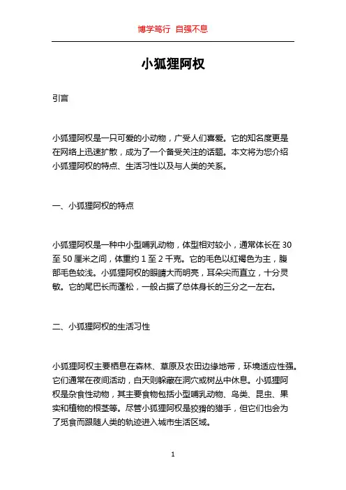 小狐狸阿权