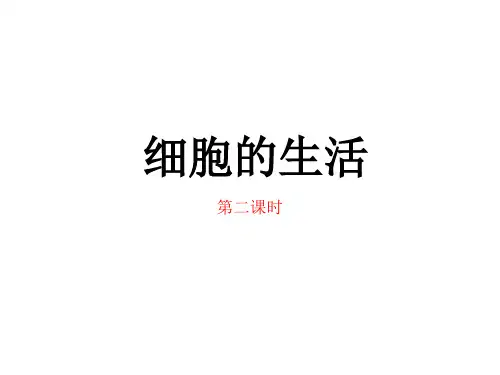 初中生物精选课件—细胞核