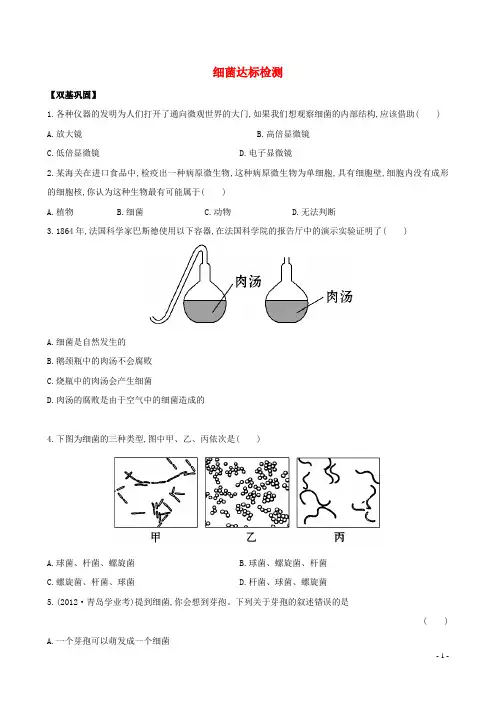 《金榜学案》八年级生物上册 5.4.2 细菌达标检测(含解析) 新人教版(1)