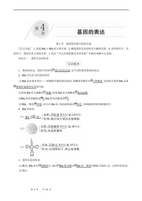 人教版高中生物必修2同步学习-第4章 第1节  基因指导蛋白质的合成