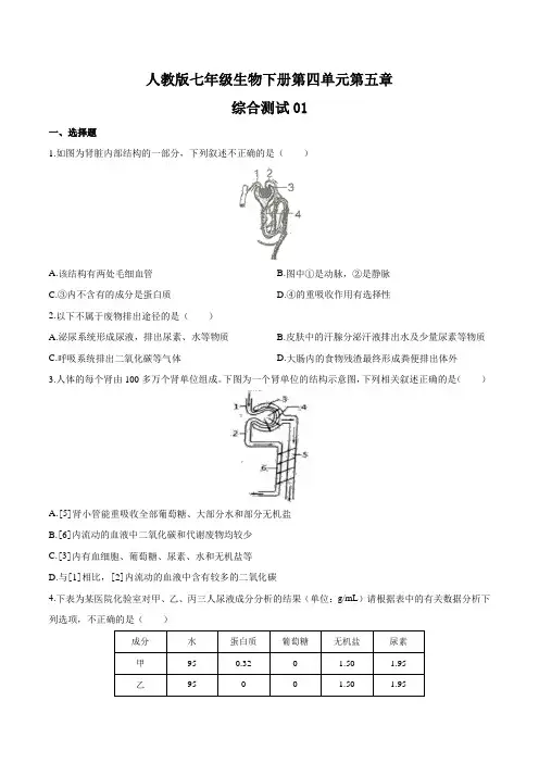 人教版七年级生物下册  第四单元第五章《人体内废物的排出》测试卷三套及答案