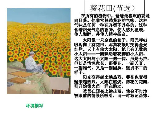 青铜葵花导读课课件ppt.ppt