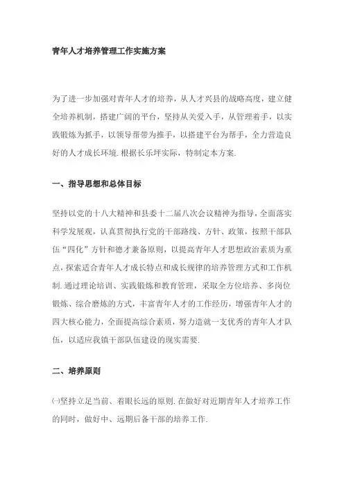 青年人才培养管理工作实施方案