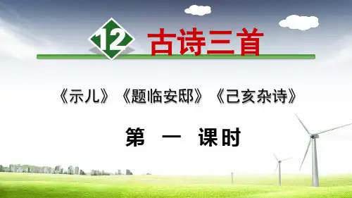 古诗三首《示儿》《题临安邸》《己亥杂诗》