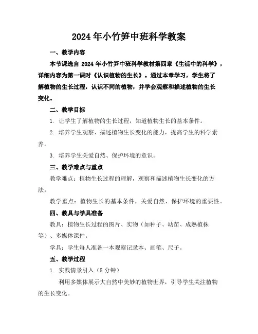 2024年小竹笋中班科学教案