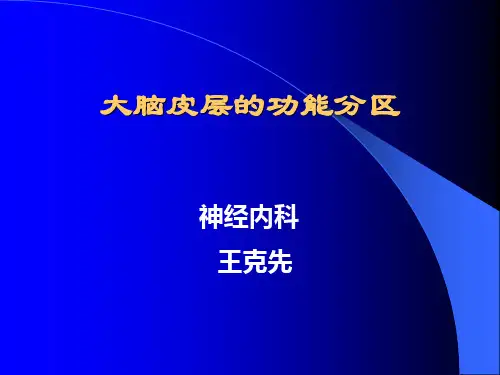 大脑皮质功能分区