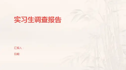 实习生调查报告