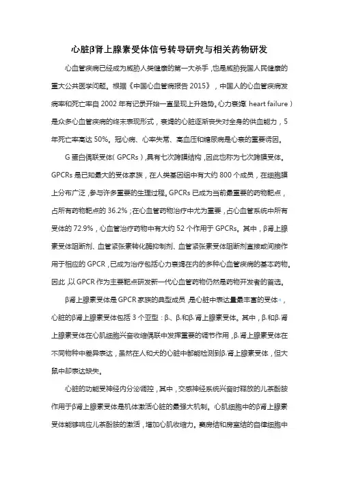 心脏β肾上腺素受体信号转导研究与相关药物研发