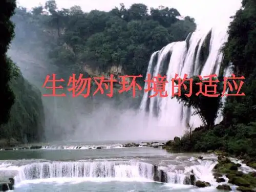 生物对环境的适应