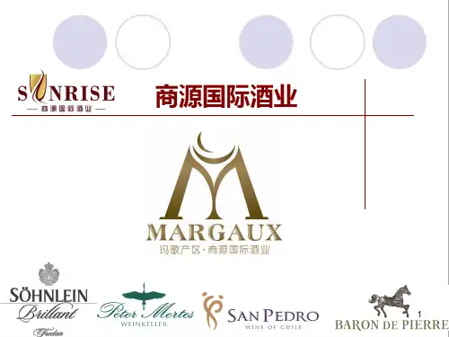 认识酒标酒瓶幻灯片