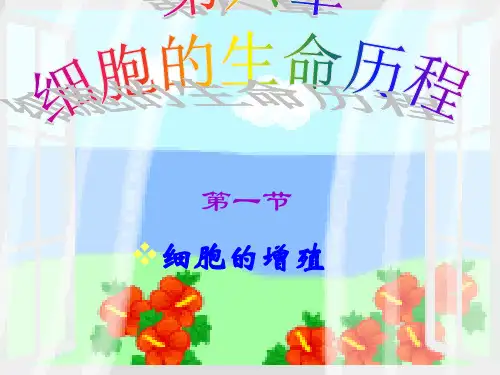 人教生物 必修1第六章第1节 细胞的增殖