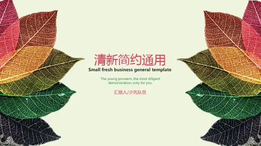 精美极简清新商务通用ppt模板