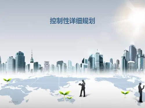 控制性详细规划报告PPT课件