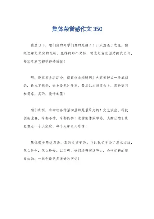 集体荣誉感作文350