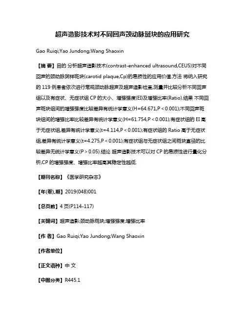 超声造影技术对不同回声颈动脉斑块的应用研究