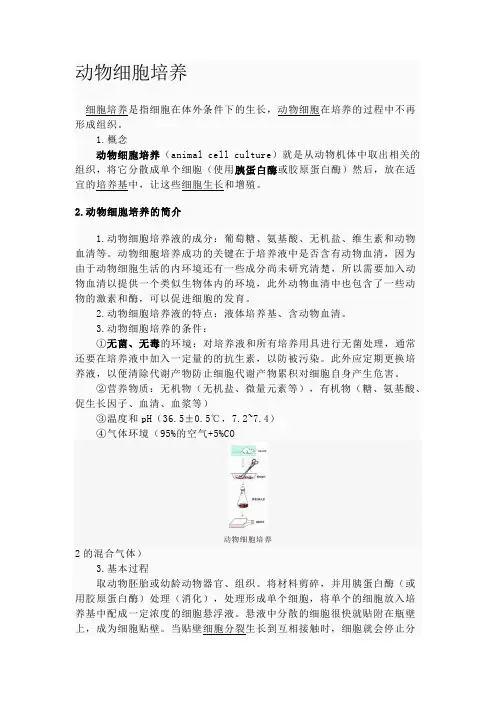 动物细胞培养