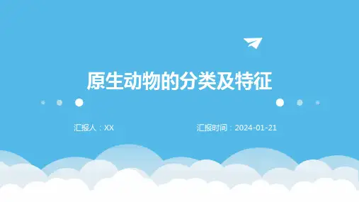 原生动物的分类及特征