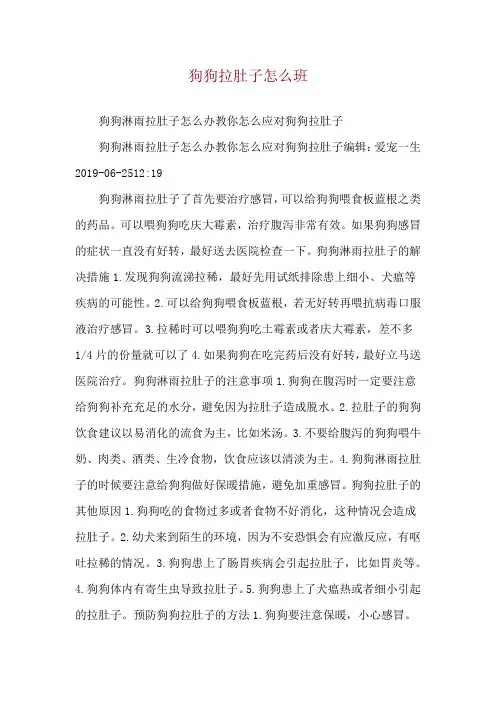 狗狗拉肚子怎么班