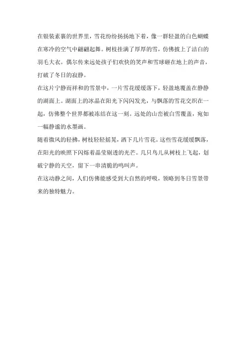 围绕雪景写一段话动静结合