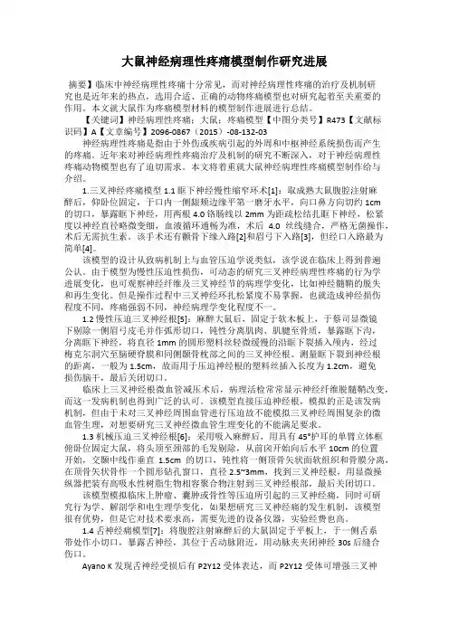 大鼠神经病理性疼痛模型制作研究进展