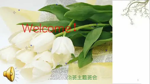 高二主题班会我们的青春我们的梦想课件
