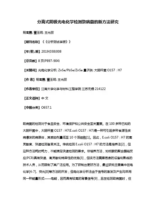 分离式阴极光电化学检测致病菌的新方法研究