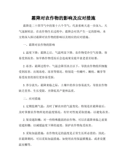 霜降对农作物的影响及应对措施