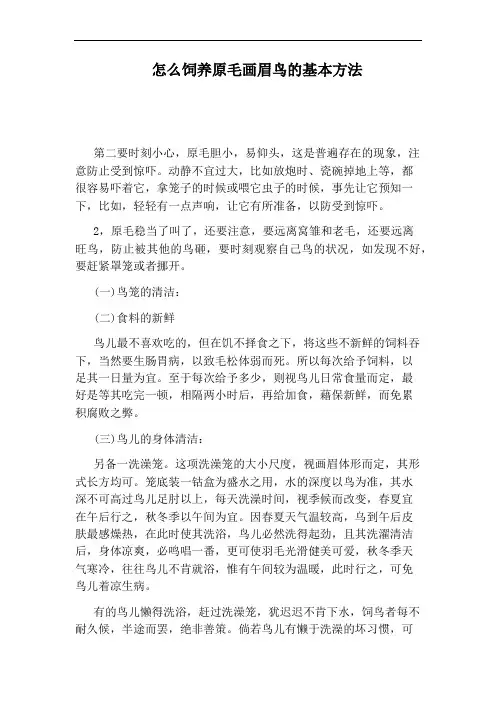 怎么饲养原毛画眉鸟的基本方法