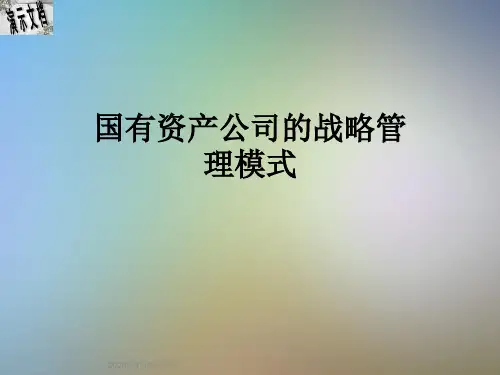 国有资产公司的战略管理模式