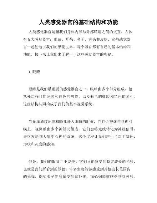 人类感觉器官的基础结构和功能