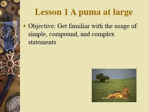 新概念英语第三册Lesson1Apumaatlarge资料(共27张PPT)