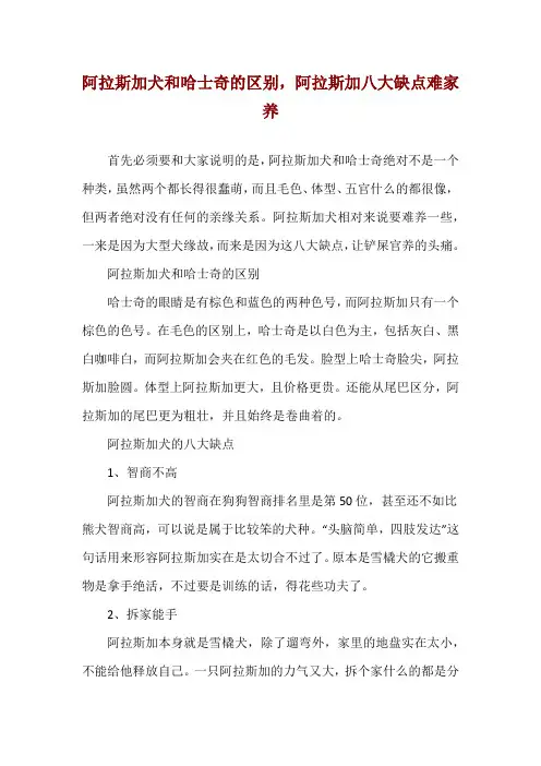 阿拉斯加犬和哈士奇的区别,阿拉斯加八大缺点难家养