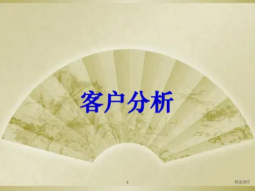 客户分析ppt课件