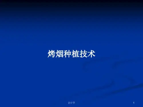 烤烟种植技术PPT学习教案
