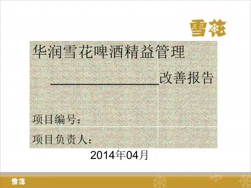 精益管理改善项目报告