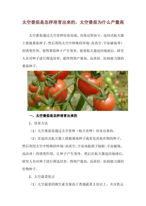 太空番茄是怎样培育出来的,太空番茄为什么产量高