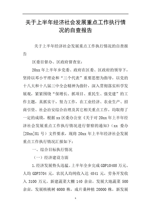 关于上半年经济社会发展重点工作执行情况的自查报告