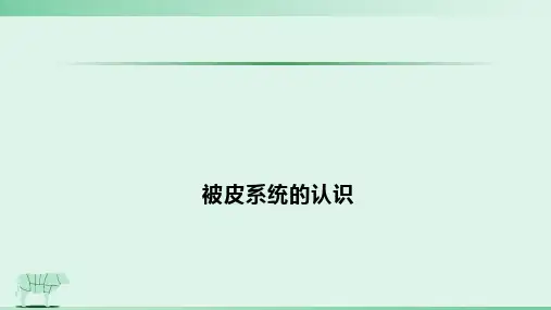 2.1被皮系统 课件《畜禽解剖生理学》同步教学(中国农业出版社)
