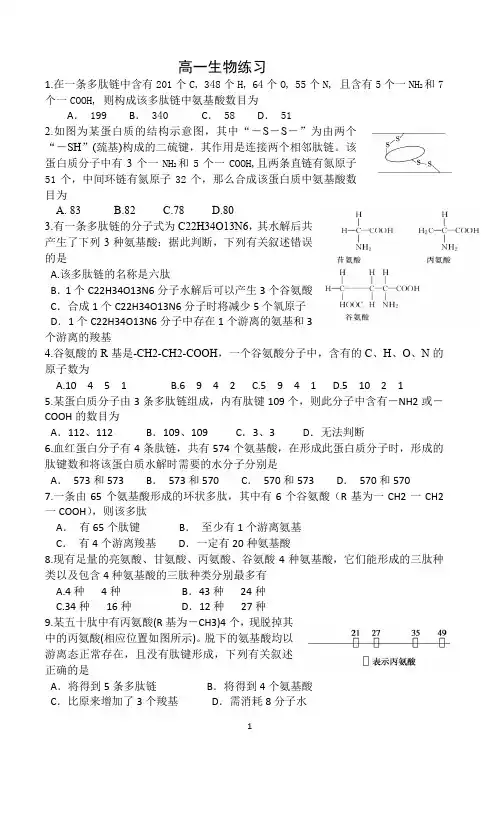 高中生物 人教版 必修一 第二章 第二节 生命活动的主要承担者—蛋白质 计算专题