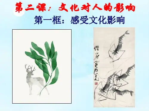 【一线精品】 高二政治必修三文化生活课件：2.1感受文化影响(共16张PPT)