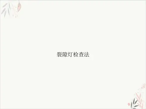 裂隙灯检查法PPT课件