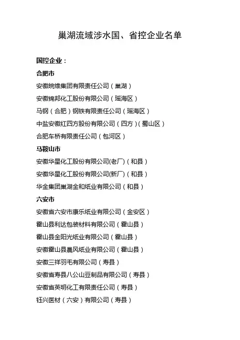 巢湖流域涉水国控企业名单