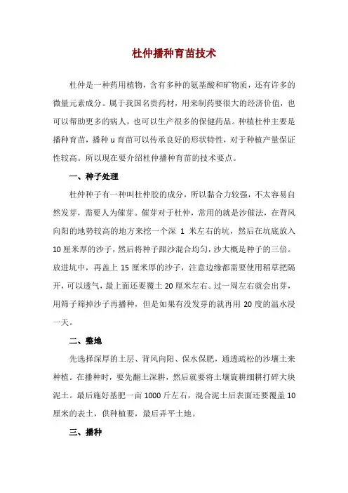 杜仲播种育苗技术